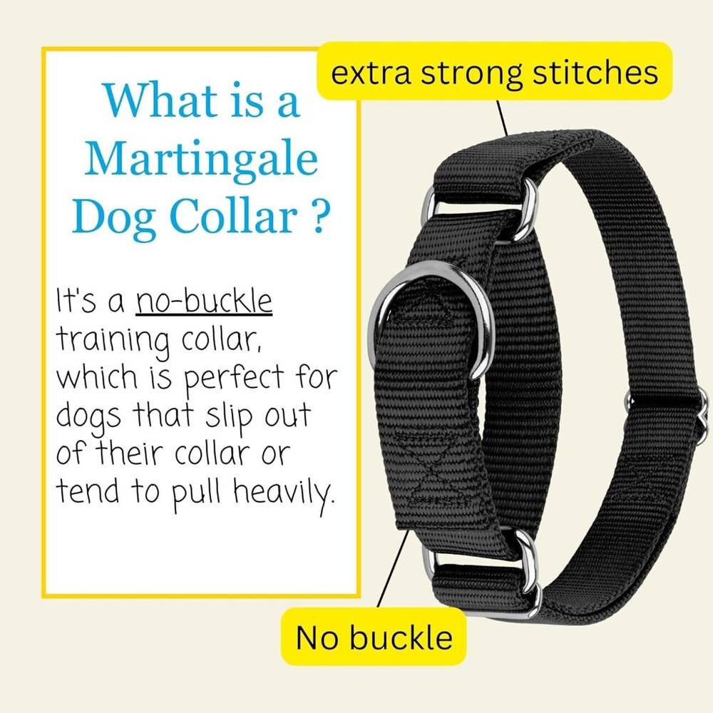 Country Brook Petz Martingale Dog Collar, Black, Large